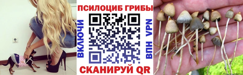 Галлюциногенные грибы MAGIC MUSHROOMS  Купить закладки  Корсаков 